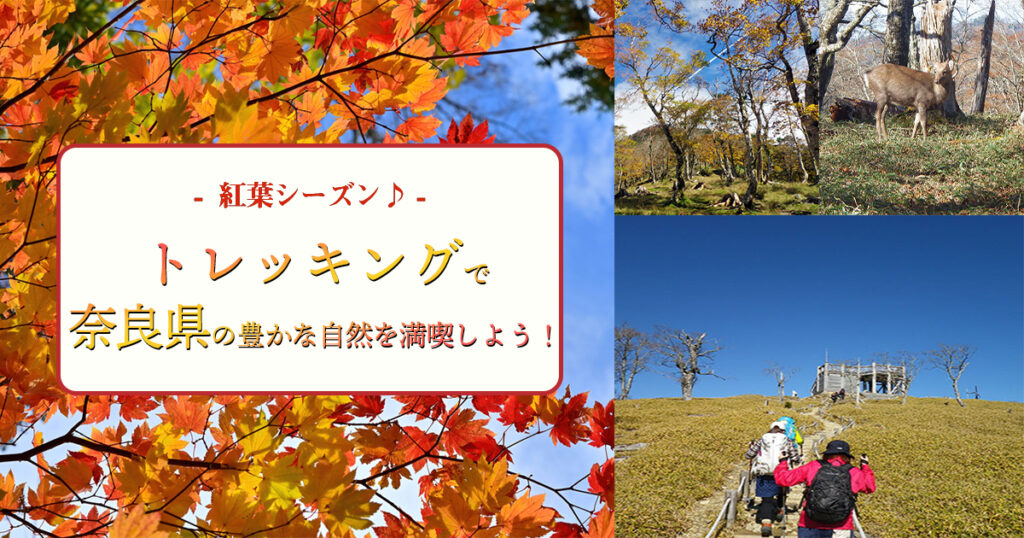 紅葉シーズン！秋はトレッキングで奈良県の豊かな自然を満喫しよう！
