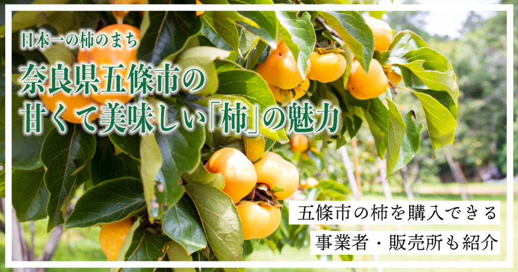 日本一の柿のまち！奈良県五條市の甘くて美味しい「柿」の魅力に迫る