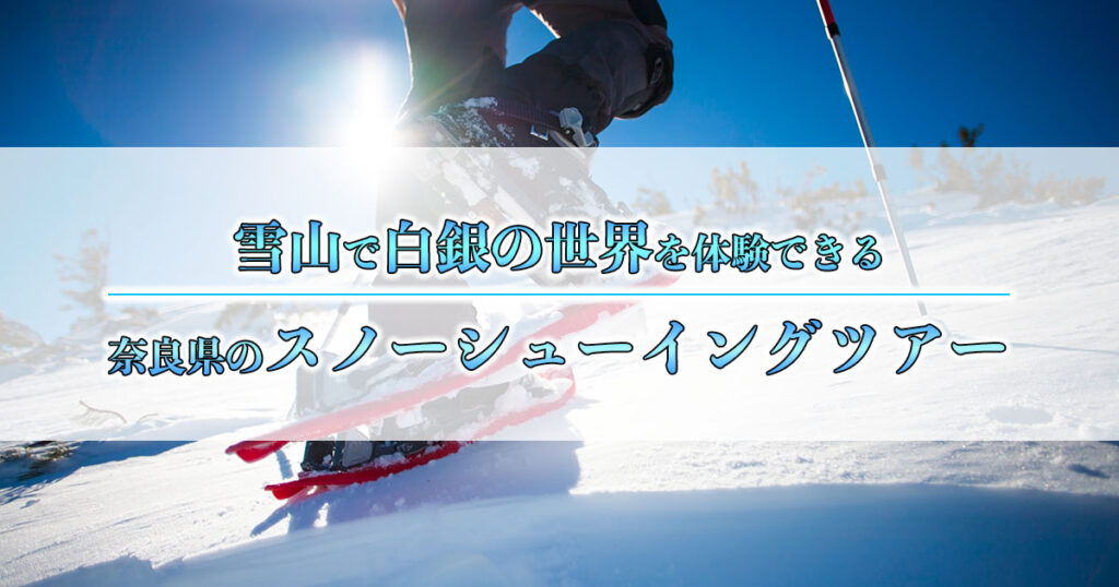 【白銀の世界】冬は奈良県のスノーシューイングツアーで雪山デビュー