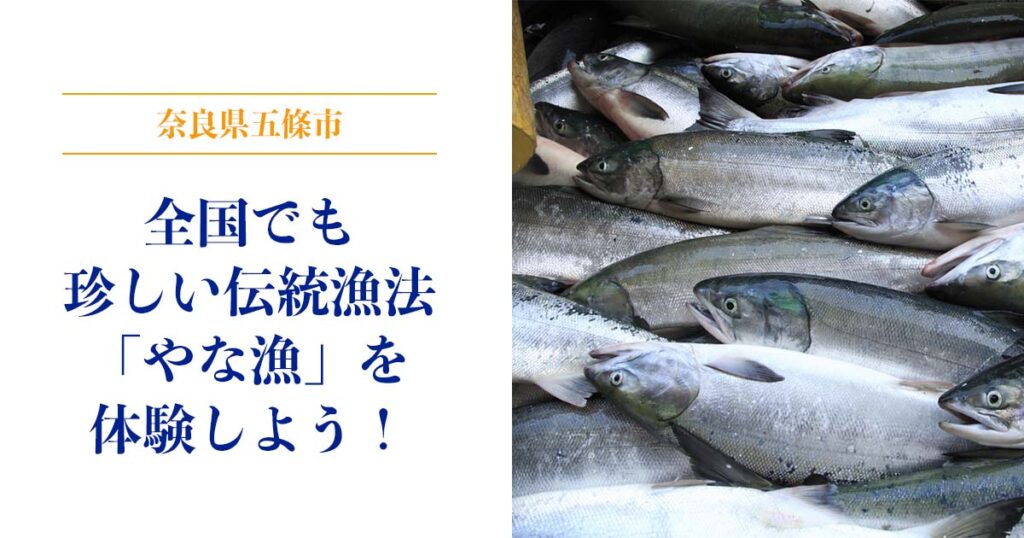 全国でも珍しい伝統漁法「やな漁」を奈良県五條市で体験しよう！