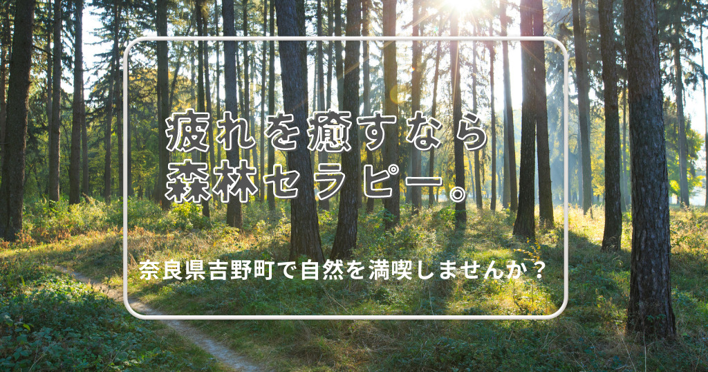 疲れを癒すなら森林セラピー。奈良県吉野町で自然を満喫しませんか？